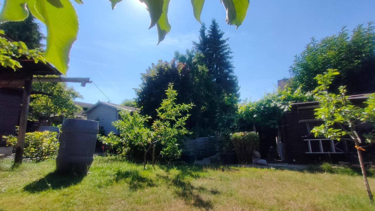 Jan'S Homestay! #Kassel-Lohfelden Kültér fotó