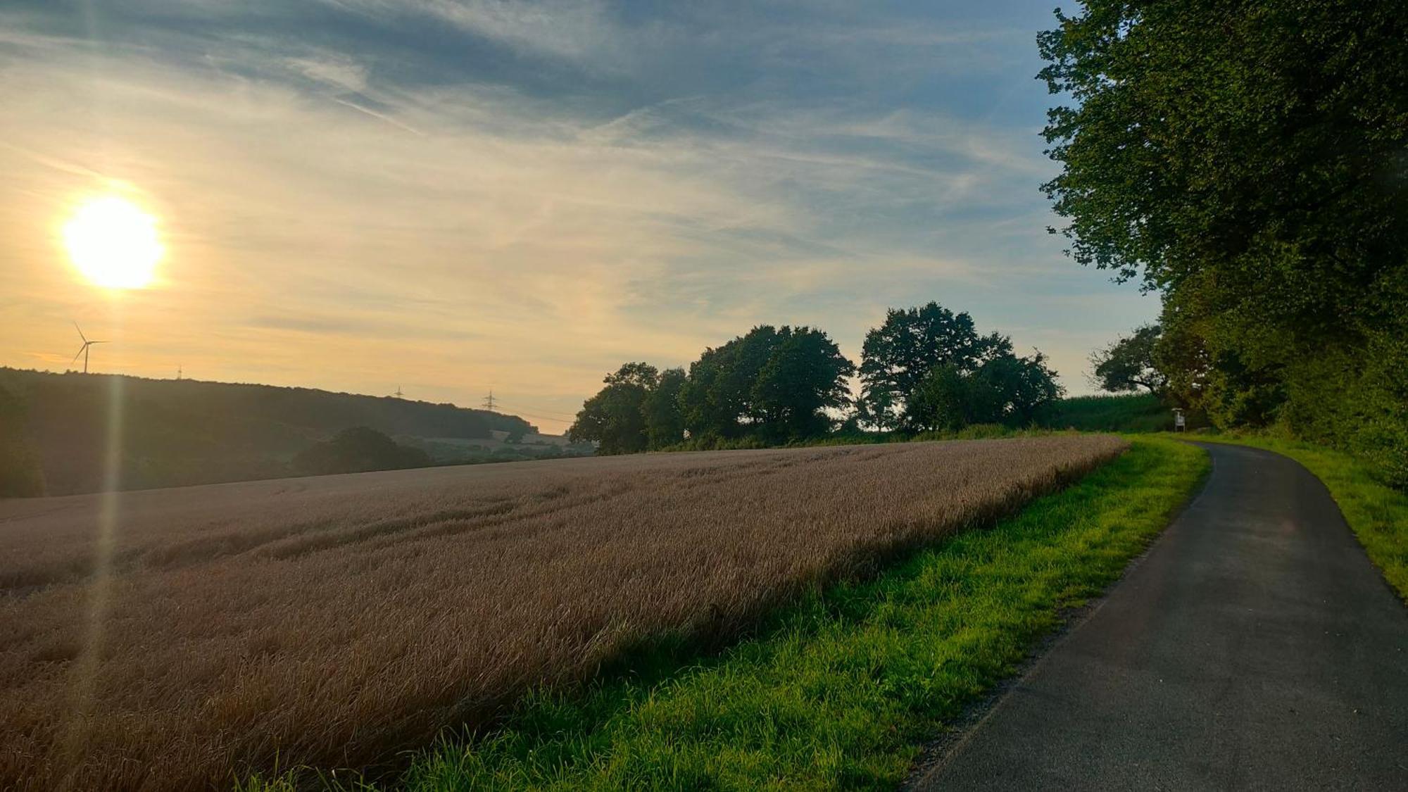 Jan'S Homestay! #Kassel-Lohfelden Kültér fotó
